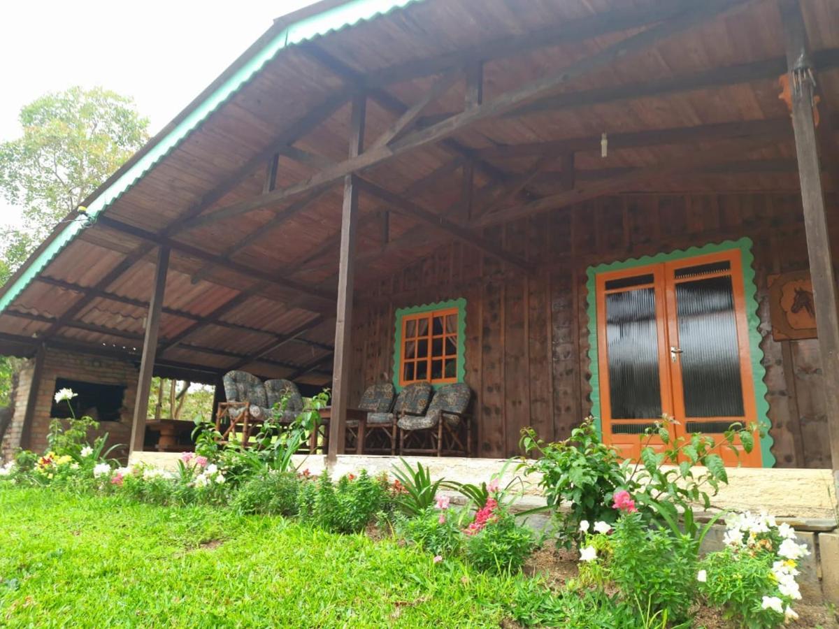 Sitio Recanto Da Guarda - Cabana Araucaria Bom Retiro  Exterior photo